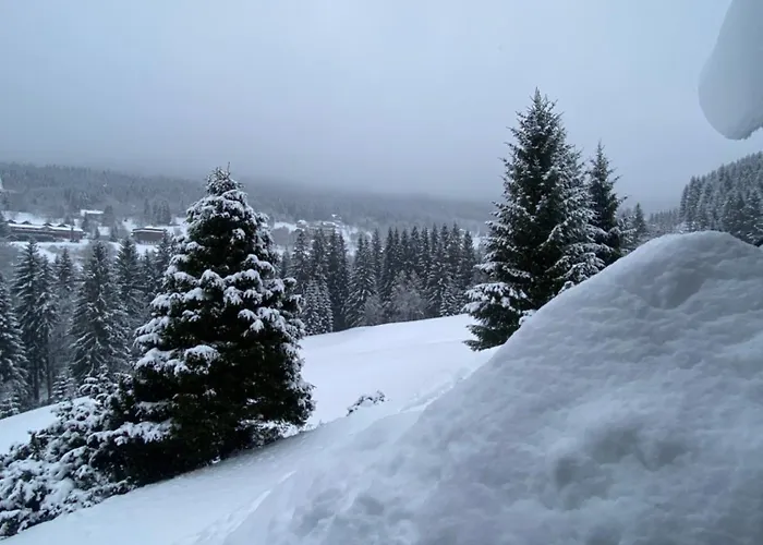 Gæstehus Moravenka 3*