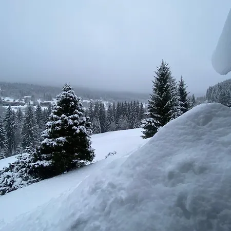 招待所 Moravenka 3*