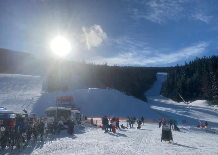 게스트하우스 Moravenka Špindlerŭv Mlýn