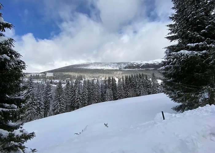 Moravenka 게스트하우스 Špindlerŭv Mlýn